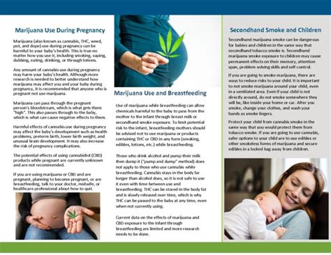 Cannabis use in pregnancy and breastfeeding: The pharmacist’s。